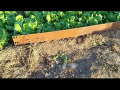 코르텐 잔디밭 에징을 면취가공하는 1SGS 000mm*1.6mm*100mm 직류 전기로 자극된 코르텐 강 경계